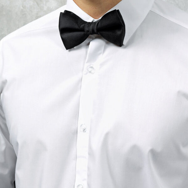 Bow tie Thumbnail